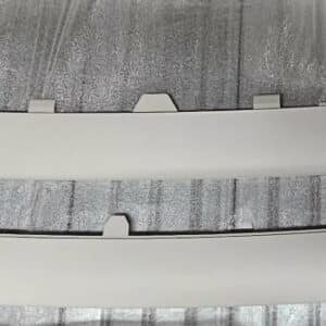 Grille midden delen niet gespoten Renault Scenic III.