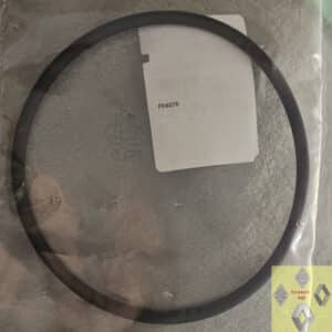 Pakking O-ring brandstofpomp Renault Megane IV, Master III, Talisman of Trafic III.