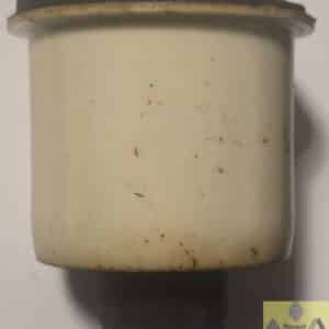 Rubber achteras Renault Kangoo II.